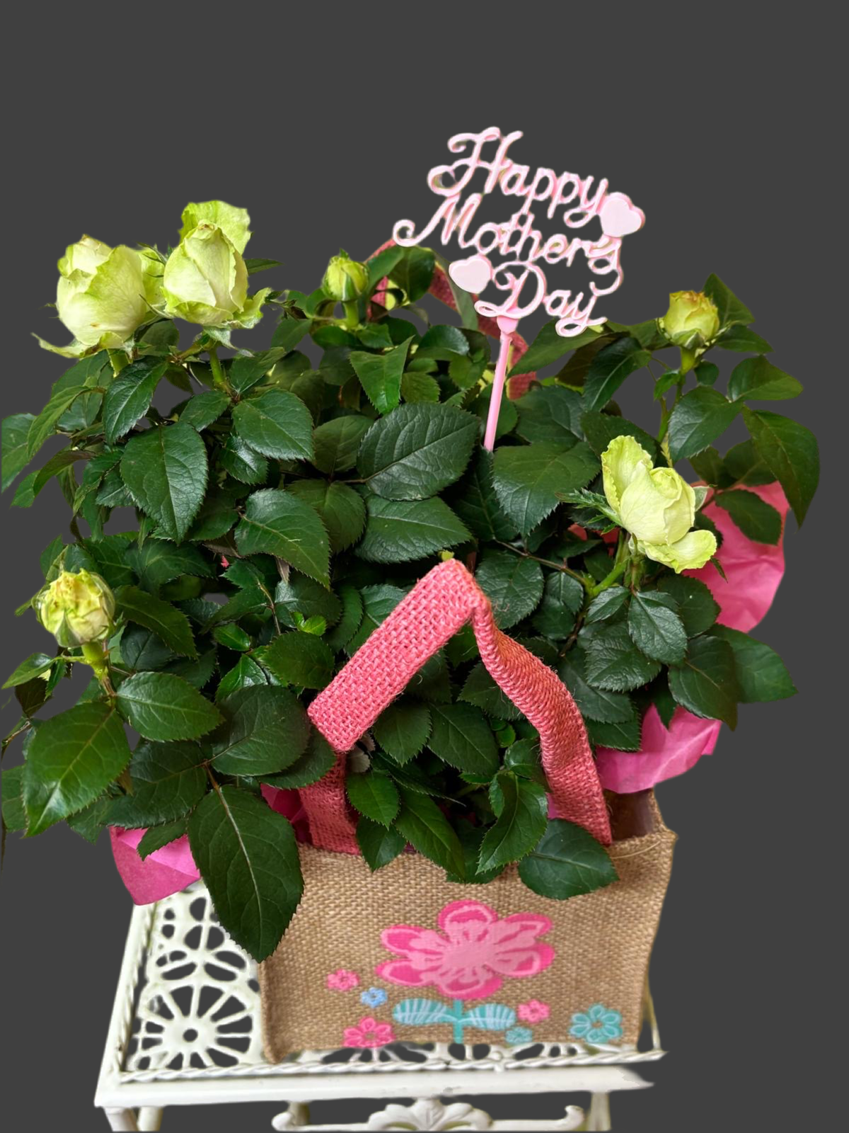 House Plant