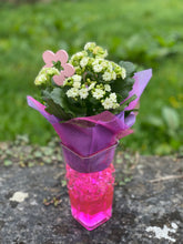 Load image into Gallery viewer, White Kalanchoe In Water Crystals Vase